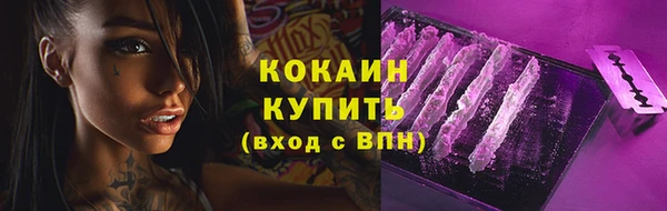 соль ск Волосово