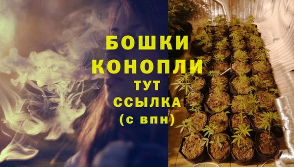 ПСИЛОЦИБИНОВЫЕ ГРИБЫ Волоколамск