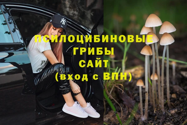 ПСИЛОЦИБИНОВЫЕ ГРИБЫ Волоколамск