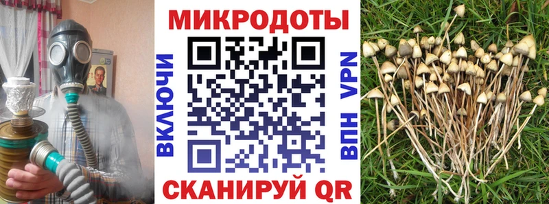 Галлюциногенные грибы Psilocybe Называевск
