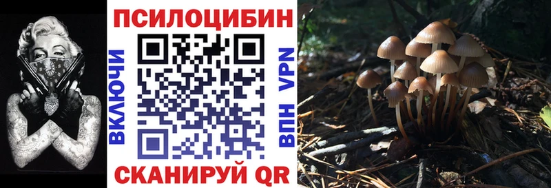 это Telegram  Называевск  Псилоцибиновые грибы мухоморы  продажа наркотиков 